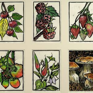 Fruit and Vegetable Series.jpg
